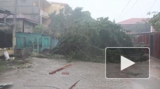 Reuters: не менее пяти человек стали жертвами тропического шторма "Эта"