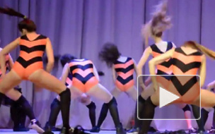 СК отказался возбуждать уголовное дело из-за танца пчелок