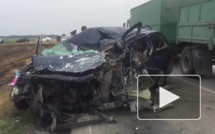 Двухлетний петербуржец погиб по дороге на море