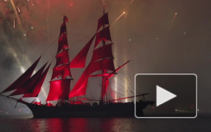 Депутаты ЗакСа поспорили на обсуждении запрета продажи алкоголя в день "Алых парусов"