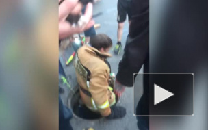 В Петербурге спасатели вызволили из плена котенка