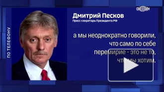 Песков: РФ добивается не перемирия, а долгосрочного мира на Украине