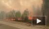 В Тюменской области из-за угрозы лесного пожара эвакуировали санатории