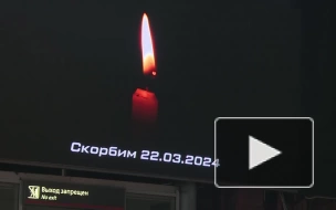 В память о жертвах теракта в Петербурге приспустили государственные флаги