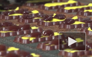 В Подмосковье на кондитерской фабрике трагически скончалась девушка