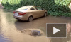 Видео: Мутная вода залила двор на набережной Фонтанки