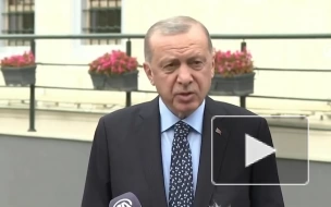 Эрдоган: борьба Турции в Сирии станет совсем иной