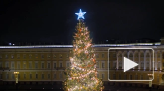 Губернатор и председатель ЗакСа поздравили петербуржцев с Новым годом и Рождеством