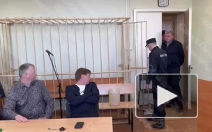 Суд дал экс-заму директора НИИ вакцин и сывороток 9,5 года в ИК строгого режима