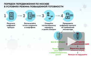 В Москве аннулируют почти миллион цифровых пропусков