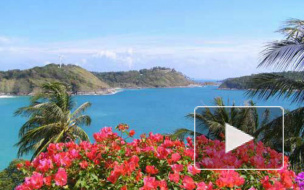 В Петербурге закрылся офис турагентства "Этюд"