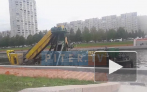 Видео: в Петербурге начали очищать реку Смоленку
