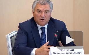 Володин предложил проанализировать международные соглашения на соответствие конституции