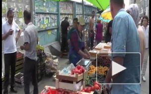 Где в Петербурге незаконно торгуют фруктами и овощами