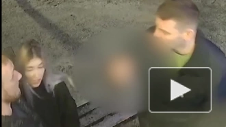Задержан житель Гатчины, ударом в лицо отправивший оппонента в больницу