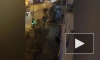 В Красноярске женщина привязала к машине больную собаку