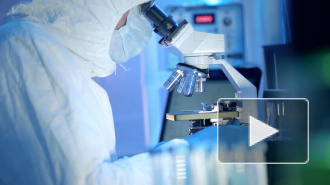 Биологи открыли многоклеточных животных, которые разучились "дышать"