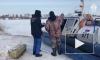 В Калининградской области по факту безвестного исчезновения ребенка возбуждено уголовное дело