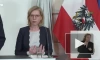 В Австрии признали, что не могут обойтись в без российского газа