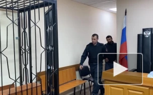 Суд арестовал водителя, задавившего девушку на остановке в Подмосковье