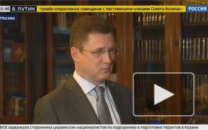 Новак заявил, что добыча нефти в РФ находится на уровне 9,5 млн баррелей в сутки