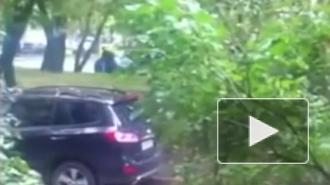 Прокуратура Петербурга разберется с использованием воздуховок для уборки улиц