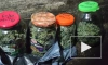 Нарколабораторию обнаружили полицейские в Читинском районе