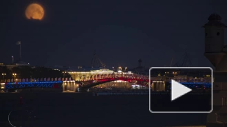 Разведенный Дворцовый и Благовещенский мосты можно будет увидеть 23 июня