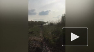 На Волхонке мигранты жгли медные провода