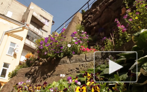 Видео: В Выборге "цветут" не только центральные улицы