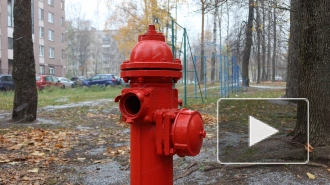 Петербуржец отреставрировал пожарный гидрант в МО "Пискаревка"