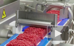 Антибиотики и листерии: Роскачество проверило мясной фарш