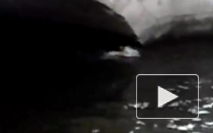 В Петербурге наблюдается аномальная жара: горожане купаются в канале Грибоедова, минуя запреты