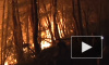 Росгидромет спрогнозировал ухудшение ситуации с лесными пожарами