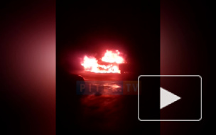 Видео: в Гатчине полностью выгорел автомобиль