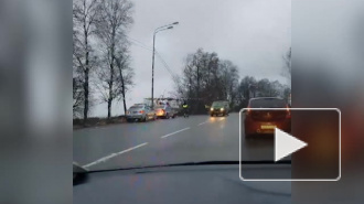 На Киевском шоссе машина вылетела с трассы и повалила деревья
