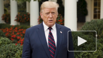 Трамп выиграл первичные выборы республиканцев в девяти штатах