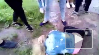 Видео: в Тихвине девочки-подростки жестоко избили сверстницу