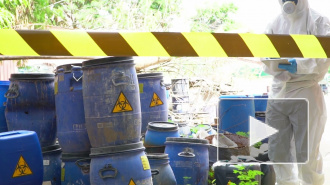 Правительство России готовит экологическую стратегию до 2050 года