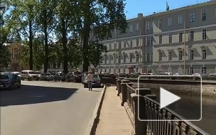 На канале Грибоедова петербурженку атаковала ворона 