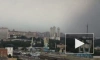 В Москве дерево рухнуло на похоронную процессию, пострадавшие в реанимации