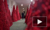 Меланью Трамп обвинили в кровожадности из-за Рождественских елок