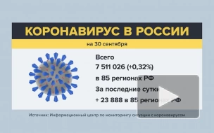 В России за сутки выявили 23 888 случаев заражения коронавирусом
