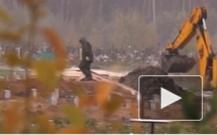 Смольный назвал ролик с экскаватором у могил постановкой и попыткой подорвать репутацию администрации кладбища