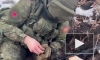 Минобороны: бойцы ВДВ отразили атаку украинских военных на одном из направлений СВО