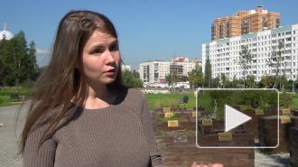 Активисты своими силами восстанавливают садик для маломобильных петербуржцев в Муринском парке