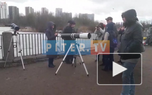 Петербуржцы встали на защиту Пулковской обсерватории (видео)