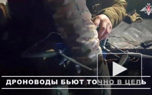 Операторы БПЛА группировки "Днепр" уничтожили технику ВСУ у Работина