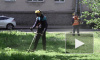 Видео: в Выборге косят траву и ухаживают за газонами