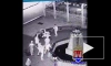 За стрельбу в воздух на улице житель Калининградской области стал фигурантом уголовного дела о хулиганстве